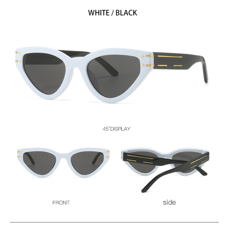 Wholesale Personalized Cat Eye Triangle Frame PC Sunglasses